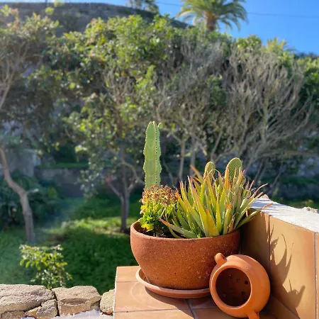 Amazing With Ocean View, Cueva De La Arena Garachico (Tenerife)